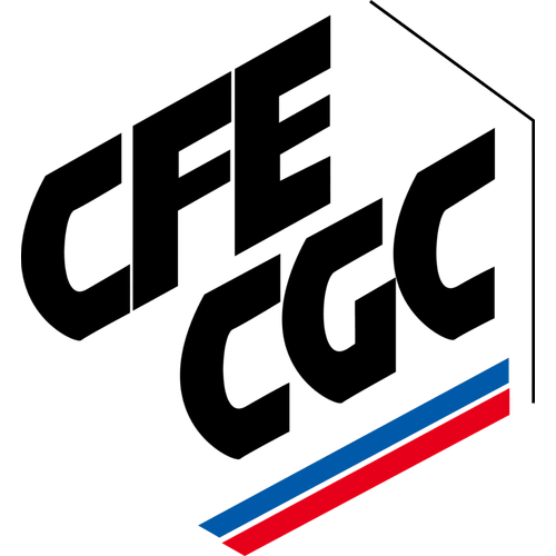 CFECGC_500x500
